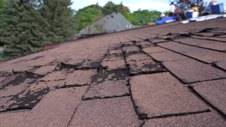 Best Roof Insulation Installation  in Bradford, PA